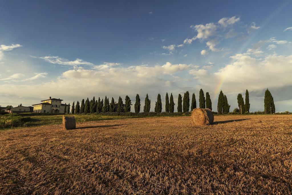 Casale Podernovo Apartment Terricciola Bagian luar foto